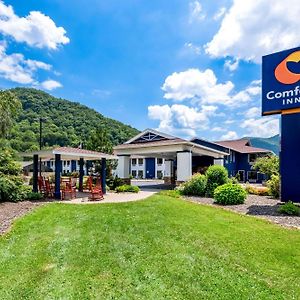 Comfort Inn Near Great Smoky Mountain National Park